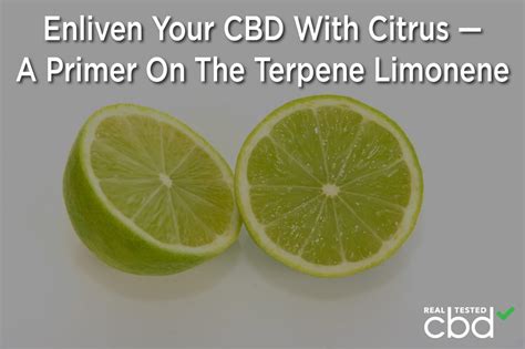 Enliven Your CBD With Citrus — A Primer On The Terpene Limonene